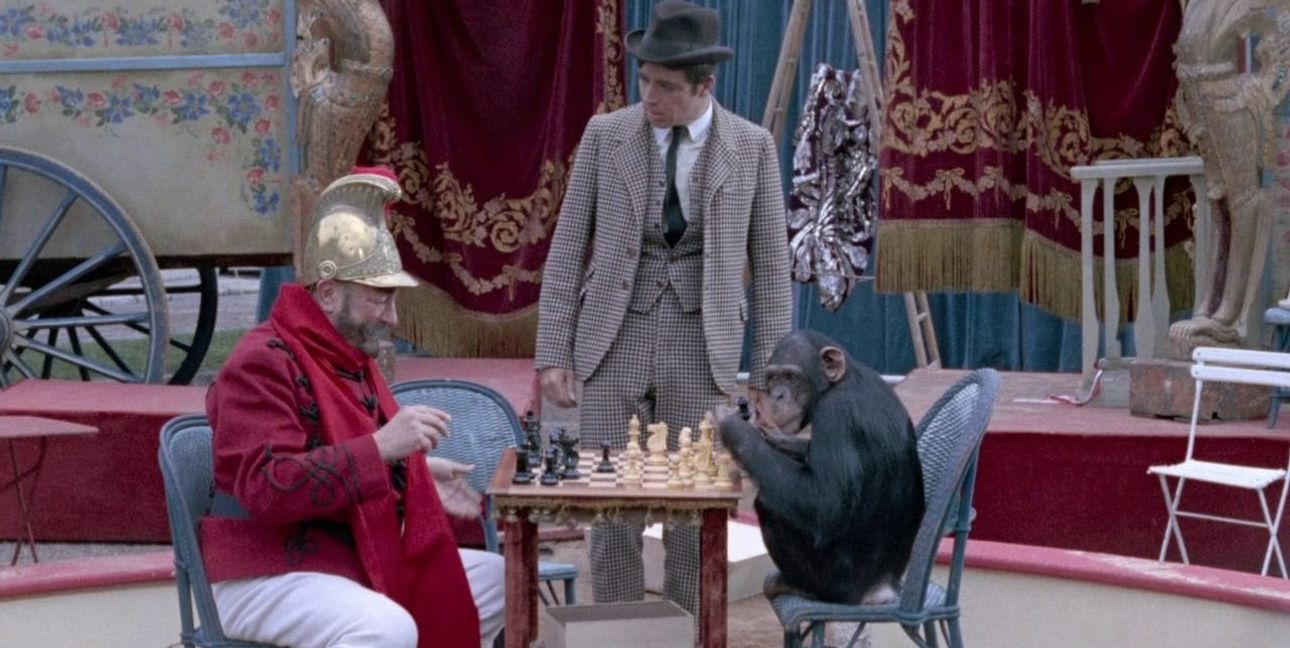 "Herzkönig": Die Irren ziehen durch die Straßen.