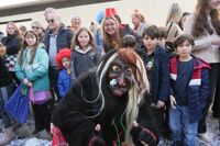 Narren, Hexen und tolle Stimmung beim Böblinger Rosenmontagsumzug.