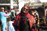 Narren, Hexen und tolle Stimmung beim Böblinger Rosenmontagsumzug.