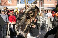 Narren, Hexen und tolle Stimmung beim Böblinger Rosenmontagsumzug.