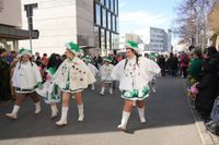 Narren, Hexen und tolle Stimmung beim Böblinger Rosenmontagsumzug.