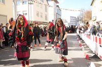 Narren, Hexen und tolle Stimmung beim Böblinger Rosenmontagsumzug.