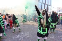 Narren, Hexen und tolle Stimmung beim Böblinger Rosenmontagsumzug.