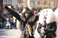 Narren, Hexen und tolle Stimmung beim Böblinger Rosenmontagsumzug.