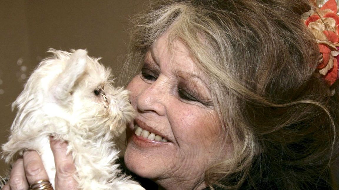 Brigitte Bardot 2005 – Tierschützerin und Enfant terrible