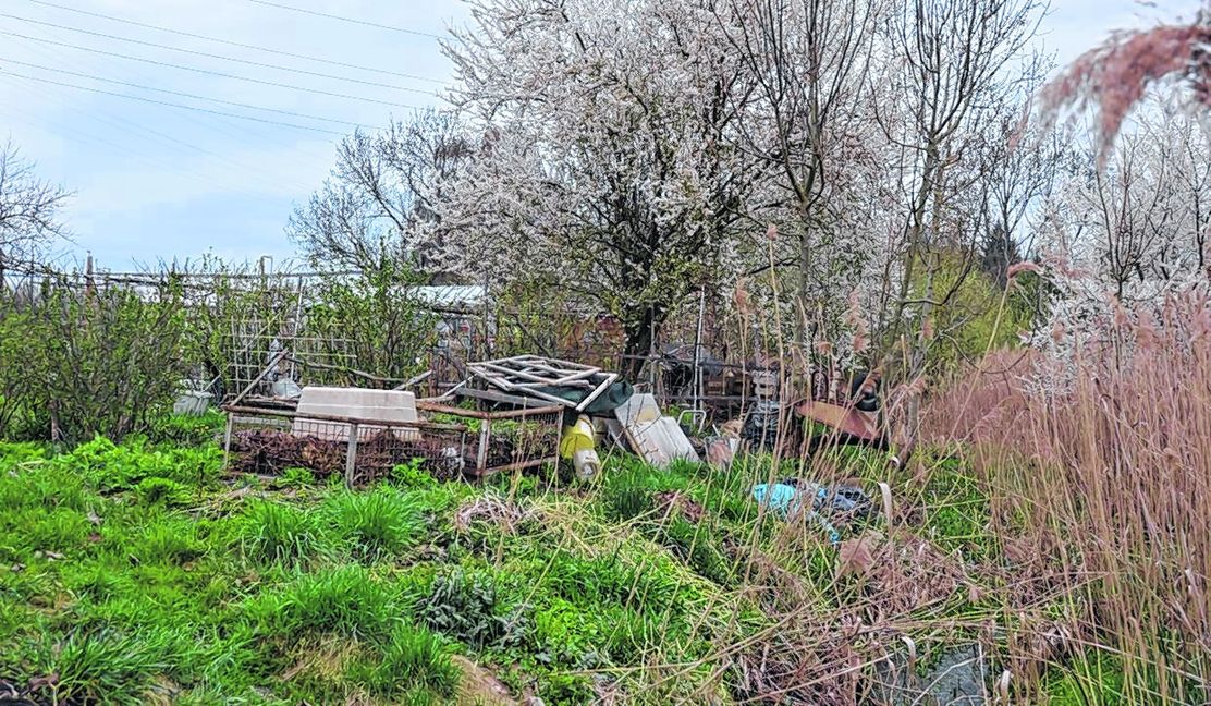Kein schöner Anblick und dazu Müllsäcke direkt an der Schwippe: Das ist nur eine von mehreren Stellen rund um die Kleingartenanlage am Schleicher, über die sich Anwohner – aber auch Kleingärtner – beschweren. Bild: Wegner