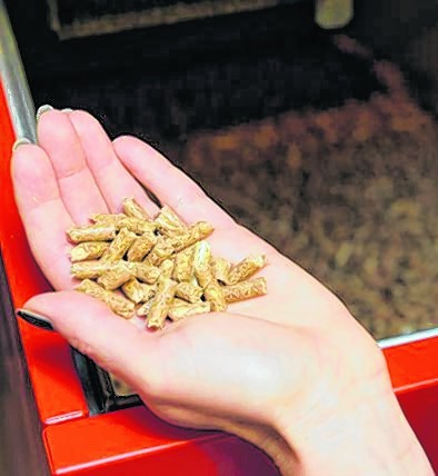 Die Umwelt-Service Nordschwarzwald GmbH ist im ganzen Landkreis Calw unterwegs.
