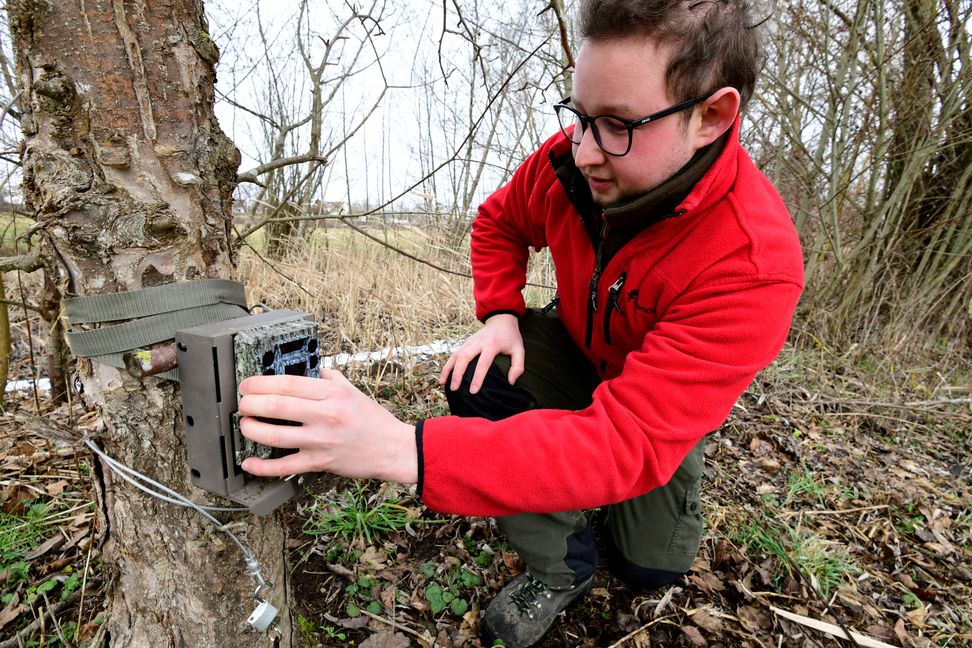 Auch das gehört zu den Aufgaben des neuen Wildtierbeauftragten im Landkreis Böblingen: Bastian Junghans überprüft eine Wildtierkamera im Maurener Tal.                 Bild: Holom