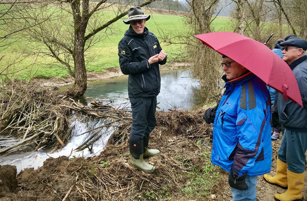 Der Wildtierbeauftragte Peter Daiker zeigt bei einer Führung einen Biberdamm am Dießener Bach bei Horb.