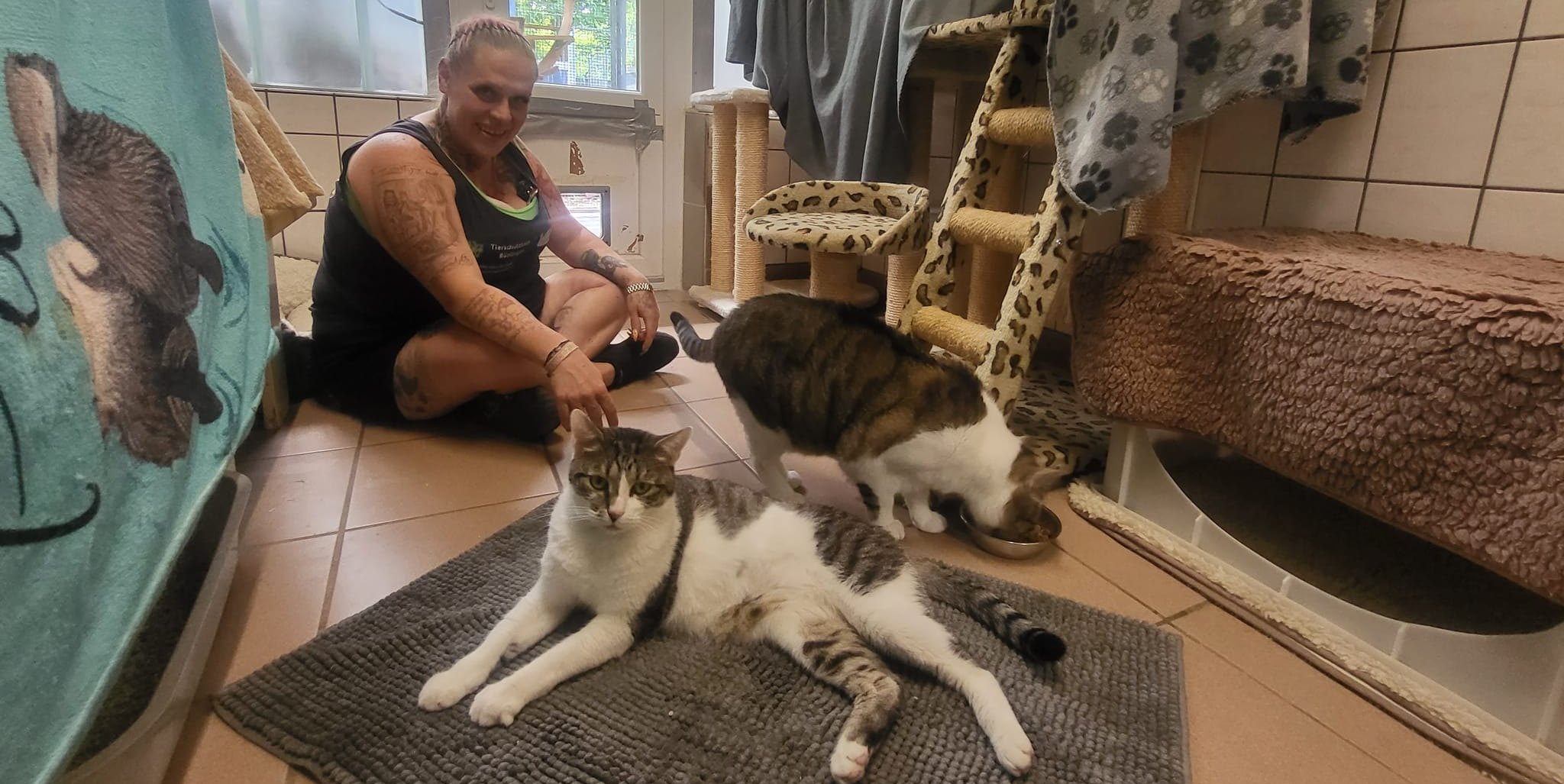 Sarah Samira Rüster im Katzenzimmer mit Diego und Achilles.