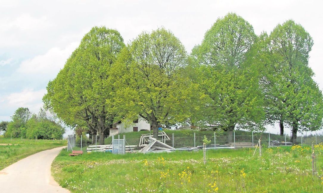Neben ihrem schon bestehenden Lager beim Wasserbehälter Hoher Baum im Westen von Maichingen wollen die Feuerwerker von Skyfire eine weitere Halle bauen. Ortschaftsrat sowie Technik- und Umweltausschuss lehnen das ab.	Bild: Rothacker/A