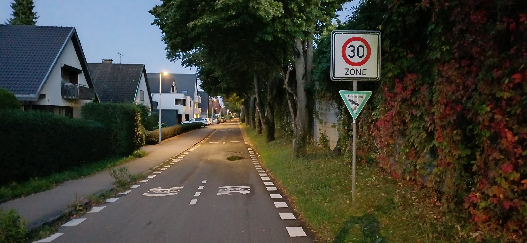 Das alte Schild zeigt an, dass die 30er-Zone beginnt, obwohl es sich um eine neue Fahrradstraße handelt.