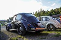 Ein Traum für Käfer-Fans: Das Treffen in Ostelsheim.
