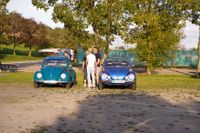 Ein Traum für Käfer-Fans: Das Treffen in Ostelsheim.