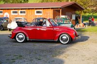 Ein Traum für Käfer-Fans: Das Treffen in Ostelsheim.