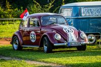 Ein Traum für Käfer-Fans: Das Treffen in Ostelsheim.