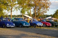 Ein Traum für Käfer-Fans: Das Treffen in Ostelsheim.
