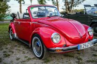 Ein Traum für Käfer-Fans: Das Treffen in Ostelsheim.
