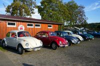 Ein Traum für Käfer-Fans: Das Treffen in Ostelsheim.