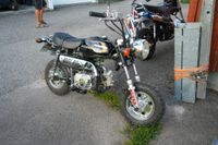 Ein Traum für Käfer-Fans: Das Treffen in Ostelsheim.