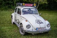 Ein Traum für Käfer-Fans: Das Treffen in Ostelsheim.