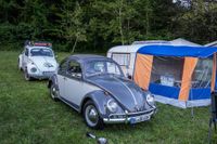 Ein Traum für Käfer-Fans: Das Treffen in Ostelsheim.