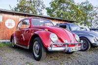 Ein Traum für Käfer-Fans: Das Treffen in Ostelsheim.