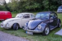 Ein Traum für Käfer-Fans: Das Treffen in Ostelsheim.