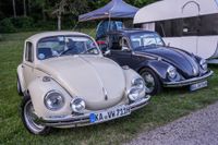 Ein Traum für Käfer-Fans: Das Treffen in Ostelsheim.