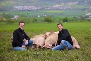 Martin und Stephan Schäberle kennen ihre Schweine von klein auf. Bild: z