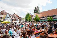 Die deutschen Fans auf dem Sindelfinger Wettbachplatz kamen beim Spiel gegen Ungarn voll auf ihre Kosten.