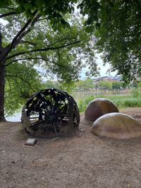 Sommer in der Stadt: Schöne Aussichten in Böblingen.