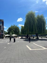 Sommer in der Stadt: Schöne Aussichten in Böblingen.