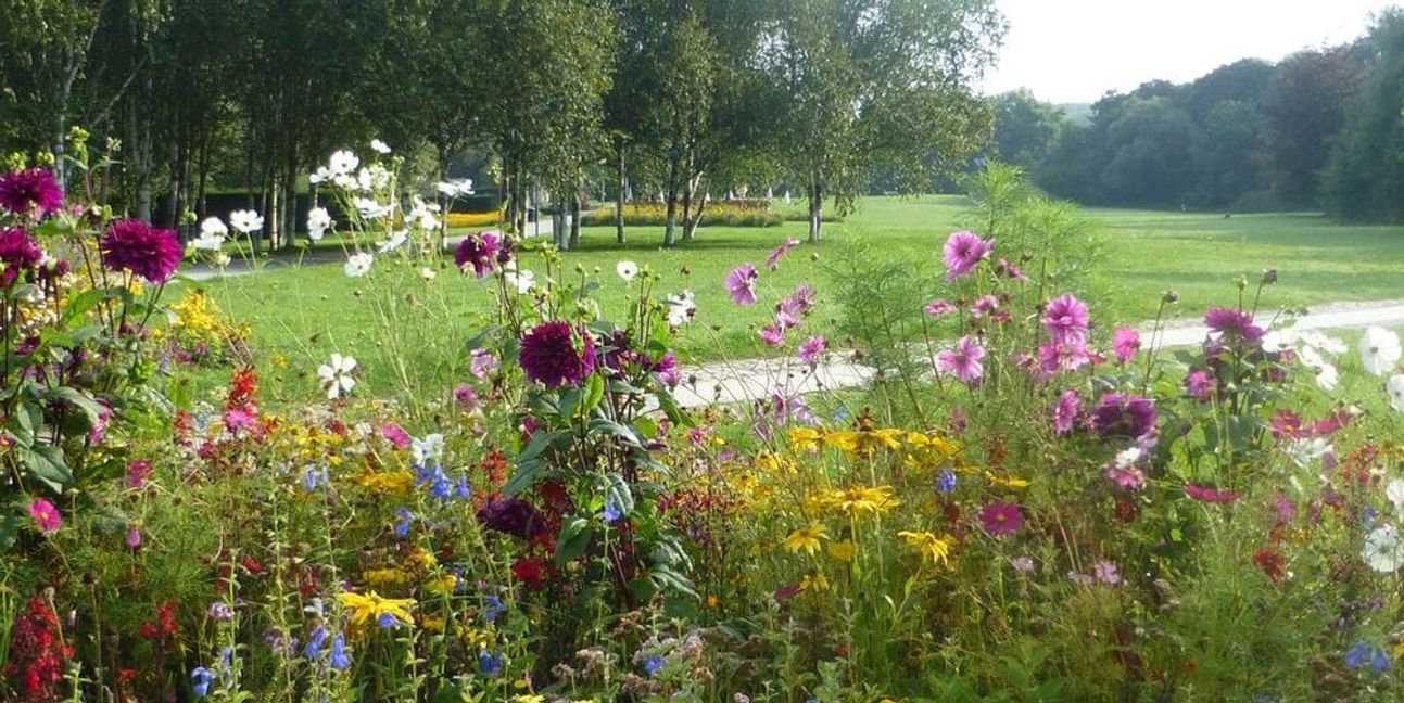 Grünanlagen wie der Sommerhofenpark sind in Sindelfingen hohe Güter.Bild: z