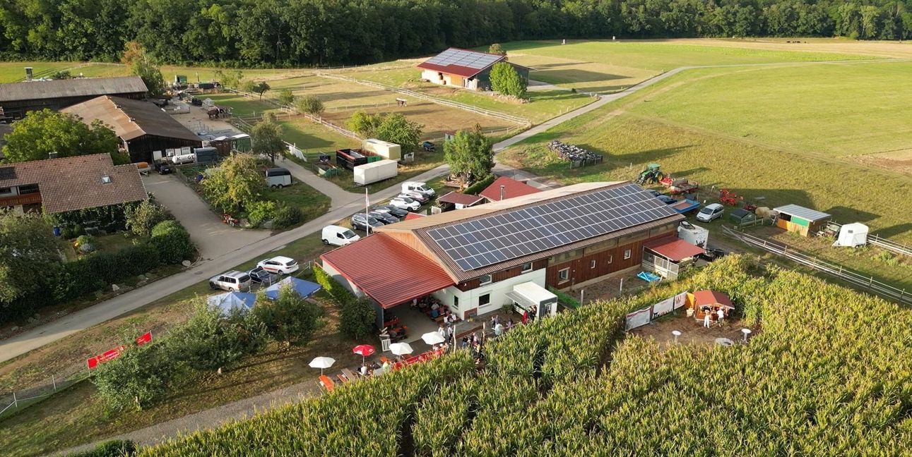 Blick von oben auf den Hof mit Maislabyrinth bei Renningen. Sowohl hier als auch auf dem Nachbarhof (oben links) kam es zu Einbrüchen.Bild: z