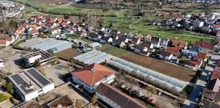 Die Gärtnerei Wacker hat am aktuellen Standort inmitten der Bebabuung keine Erweiterungs-Möglichkeiten. Für das Areal hat die Stadt konkrete Pläne.