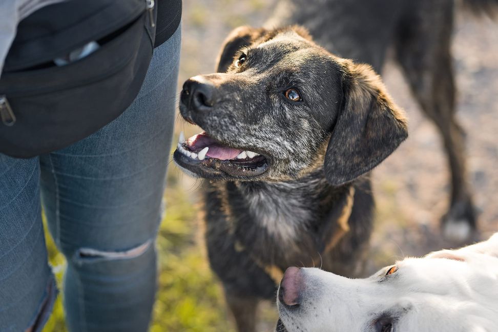 Mit den vom Gemeinderat einstimmig beschlossenen Steuersätzen erhöht die Gemeinde diese auf den derzeitigen Kreisdurchschnitt.