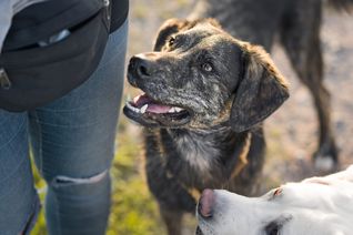 Mit den vom Gemeinderat einstimmig beschlossenen Steuersätzen erhöht die Gemeinde diese auf den derzeitigen Kreisdurchschnitt.