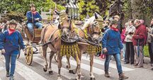 Endlich wieder: Der Maichinger Rosstag lockte am 18. September viele Besucher an. Bild: Nüßlewiedee
