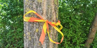 Wo das gelbe Band am Baum ist, darf gratis geerntet werden.