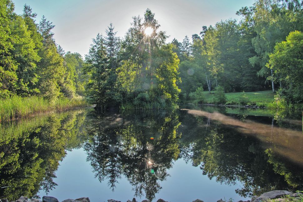 Das Baden im idyllischen Kohlweiher ist verboten. Bild: Nüßle