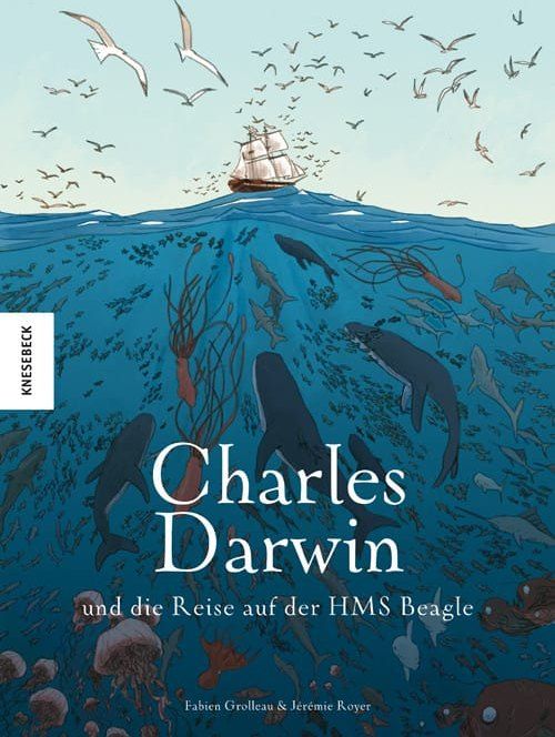 Darwin's Journey as a Comic