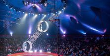 Manege frei für Circus Gebrüder Barelli.