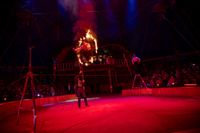 Manege frei für Circus Gebrüder Barelli.