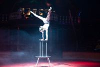 Manege frei für Circus Gebrüder Barelli.