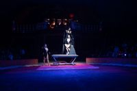 Manege frei für Circus Gebrüder Barelli.