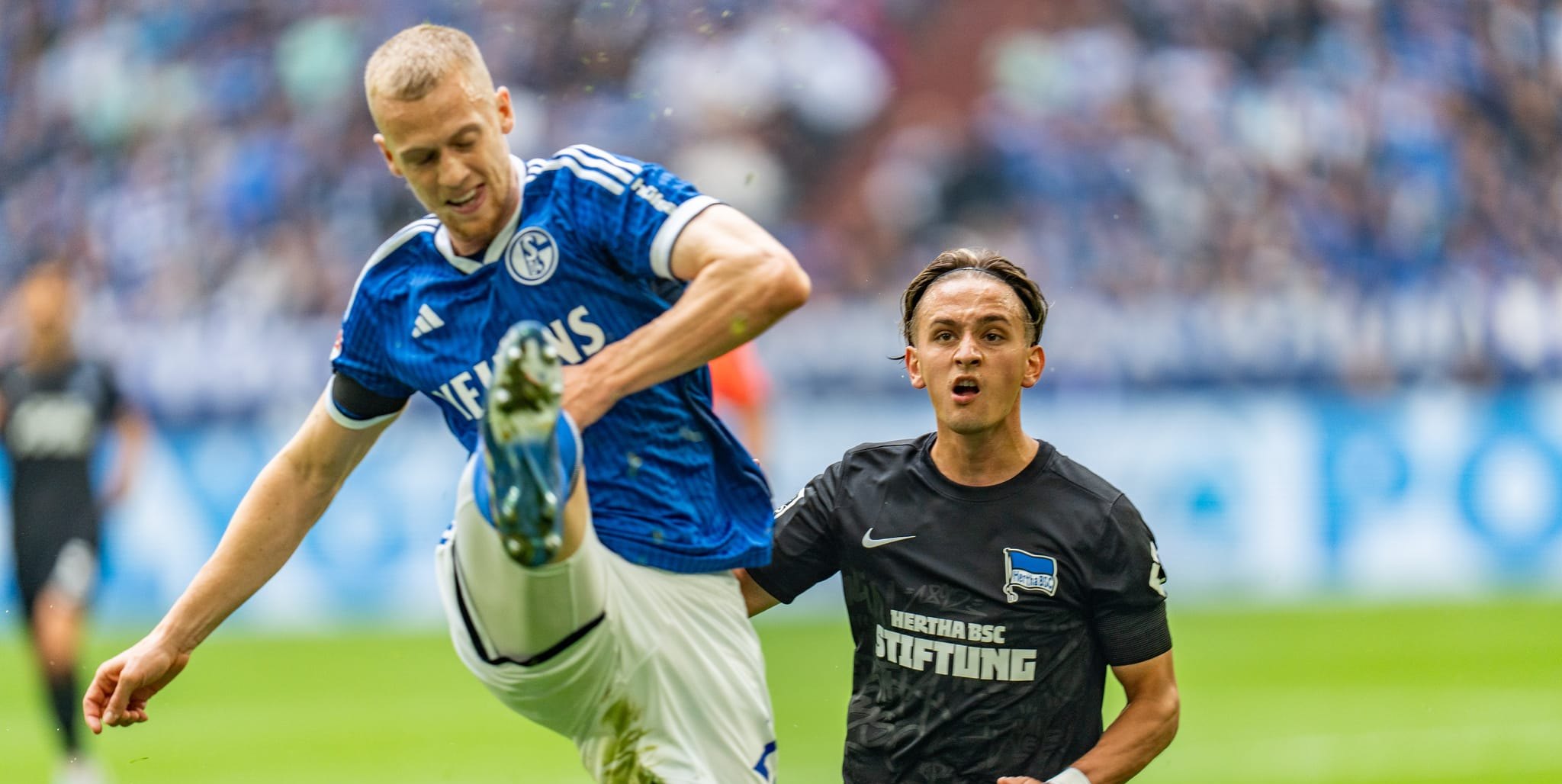 Timo Baumgartl zieht das königsblaue Trikot aus. Bild: Eibner