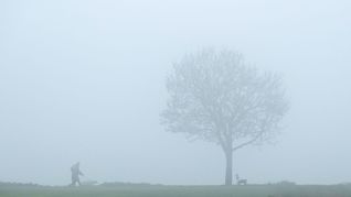 In der Nacht zum Dienstag rechnen DWD-Meteorologen an Rhein, Donau und Bodensee erneut mit viel Nebel oder Hochnebel. (Symbolbild)