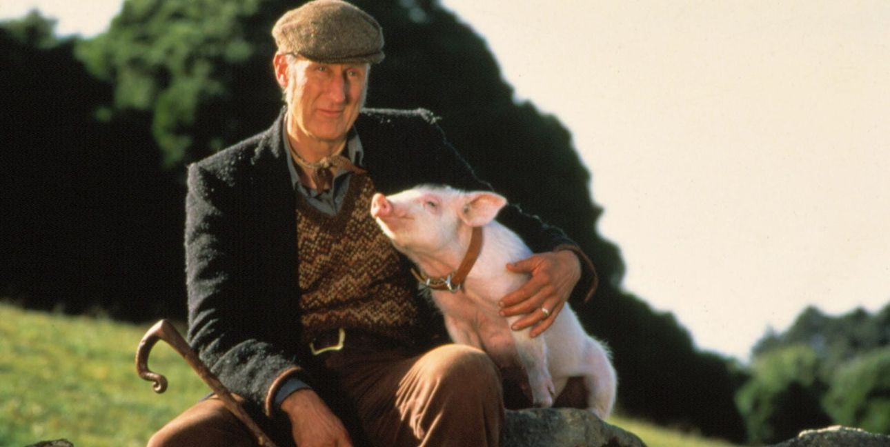 Farmer Hoggett und „Ein Schweinchen namens Babe“.