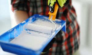 Wer Schimmel entdeckt, denkt schnell daran, diesen zu überstreichen. Wann das Überstreichen von Schimmel strafbar ist, erfahren Sie hier.